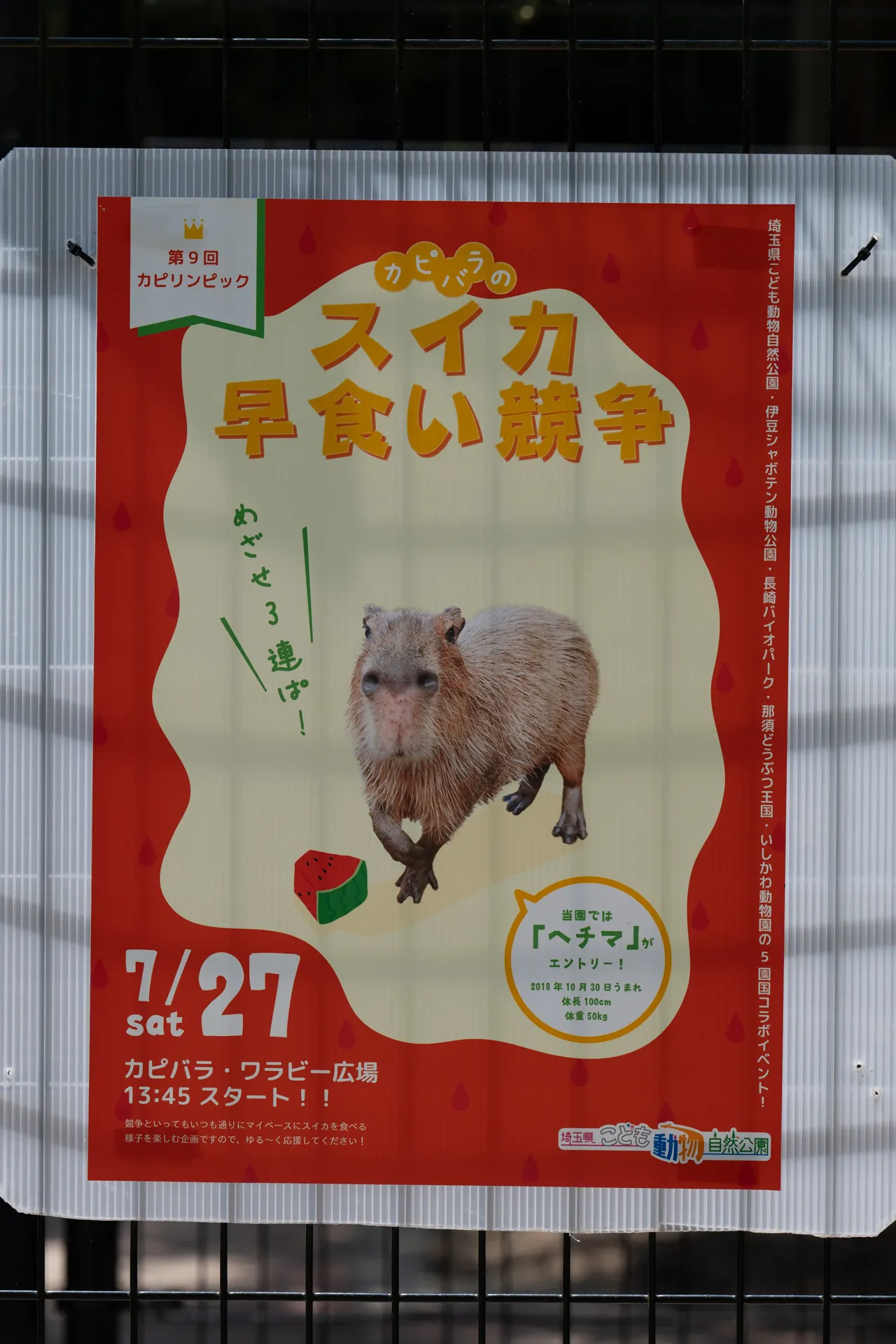 カピリンピックのポスター