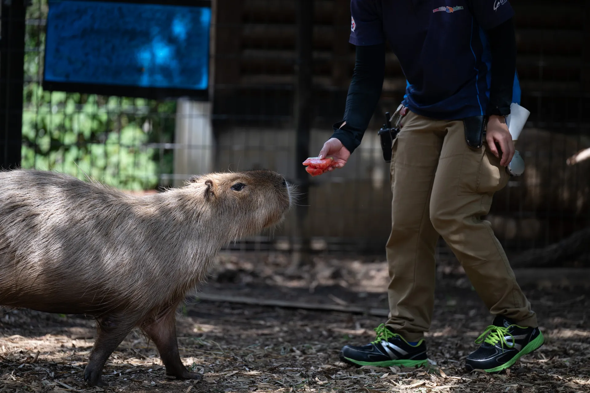 誘導される心音ちゃん