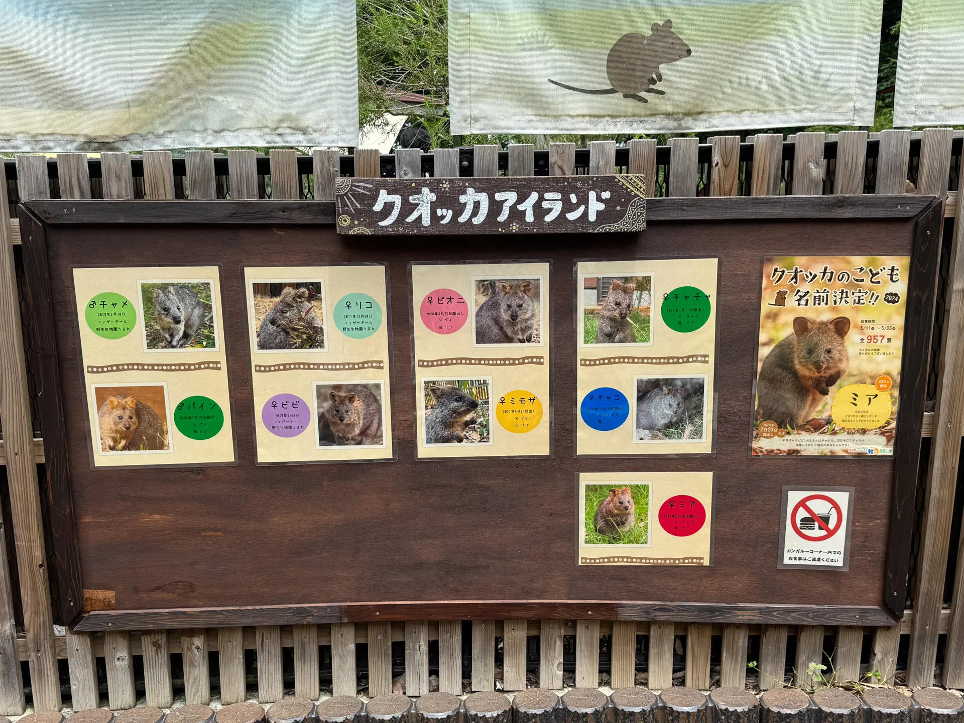 クオッカアイランドのクオッカの看板